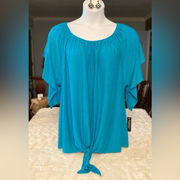 Zac & Rachel Turquoise Flutter Sleeve Tie Front Blouse - Picture 1 of 9
